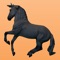 Organize your model horse collection and take your collection with you