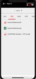 Bookkeeping ZOOM™ screenshot #8 for iPhone