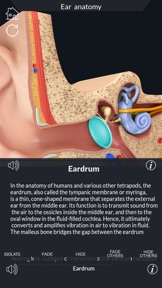 My Ear Anatomy screenshot
