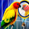 Home Pet Parrot Simulator - iPhoneアプリ