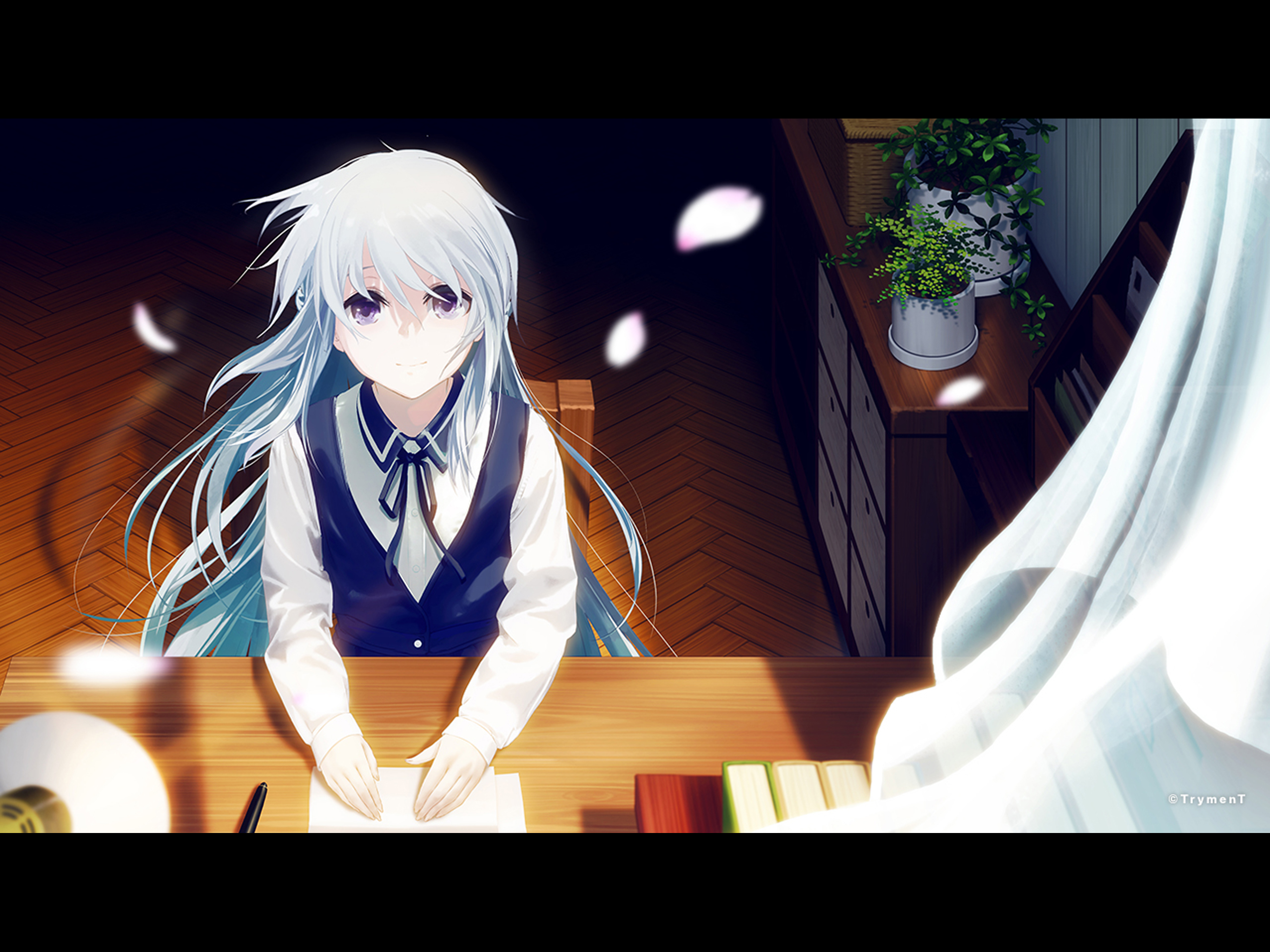 TrymenT ―LitE― screenshot 10