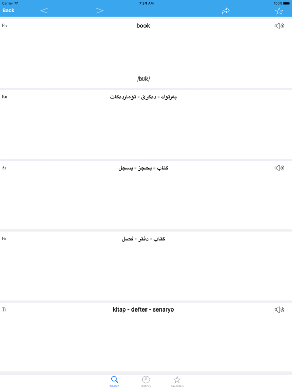 Rebin Dictionary iPad screenshot 4 - Reference app