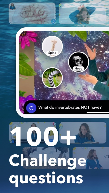 Animal Habitats & Ecosystems screenshot-6