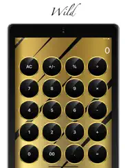 rich gold calculator pro ipad capturas de pantalla 4