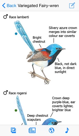 Morcombe & Stewart Guideのおすすめ画像1