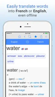 english-french dictionary. iphone screenshot 1