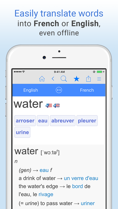 English-French Dictionary. Screenshot