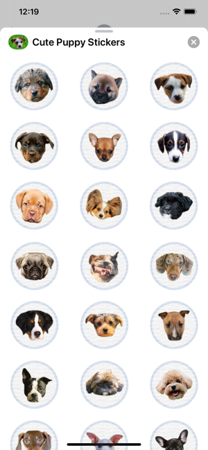 Cute Puppy - Stickers(圖3)-速報App