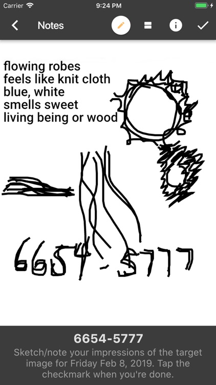 Remote Viewing Tournament