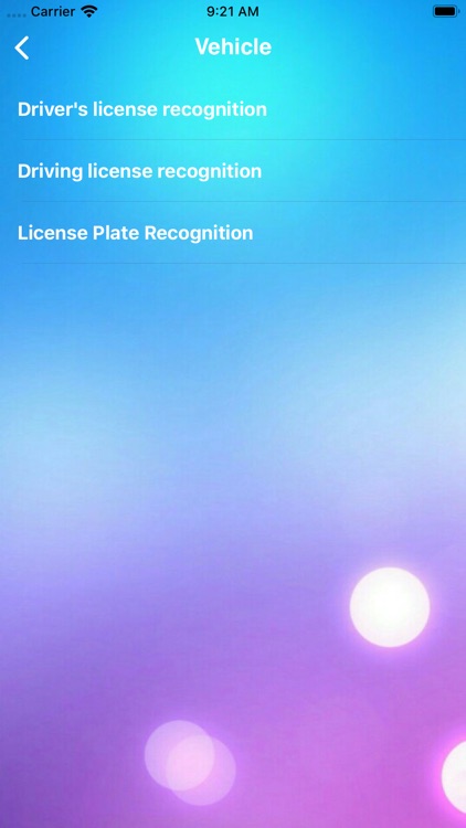 Identify little experts