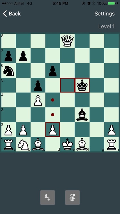 Chess Moves screenshot-3