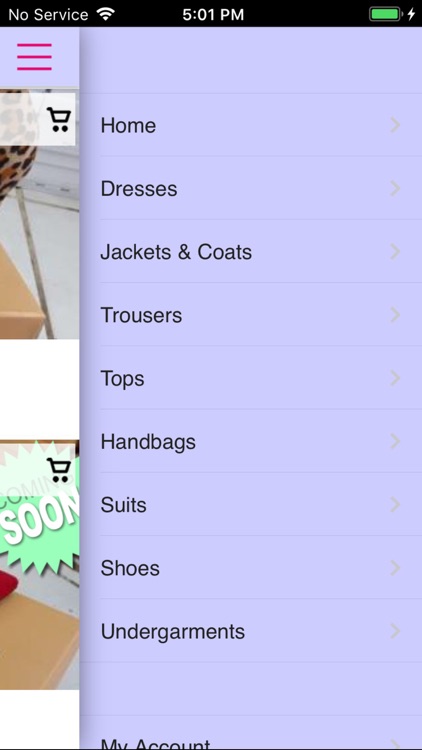 Miss Chic screenshot-4