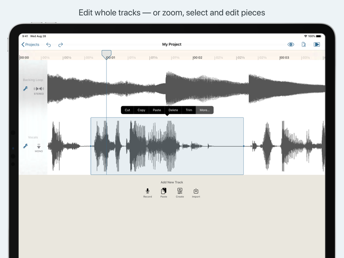 Hokusai Audio Editor
