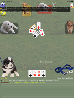 K9 Sheepshead: Schafkopf screenshot 9