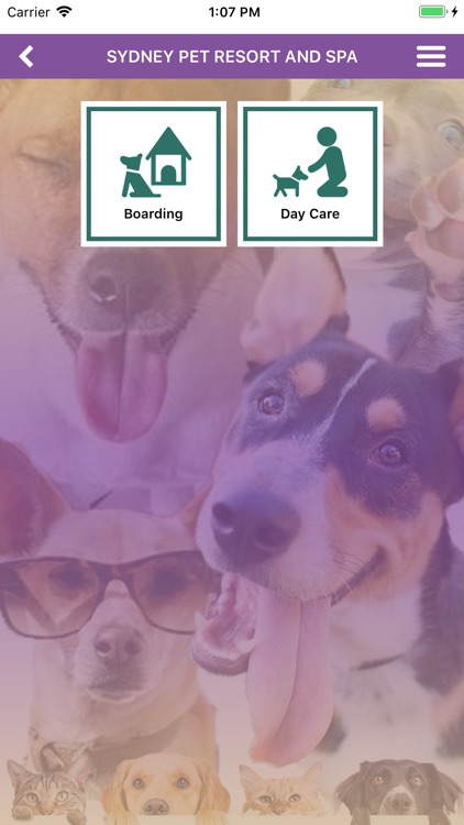 Sydney's Pet Resort and Spa screenshot-4