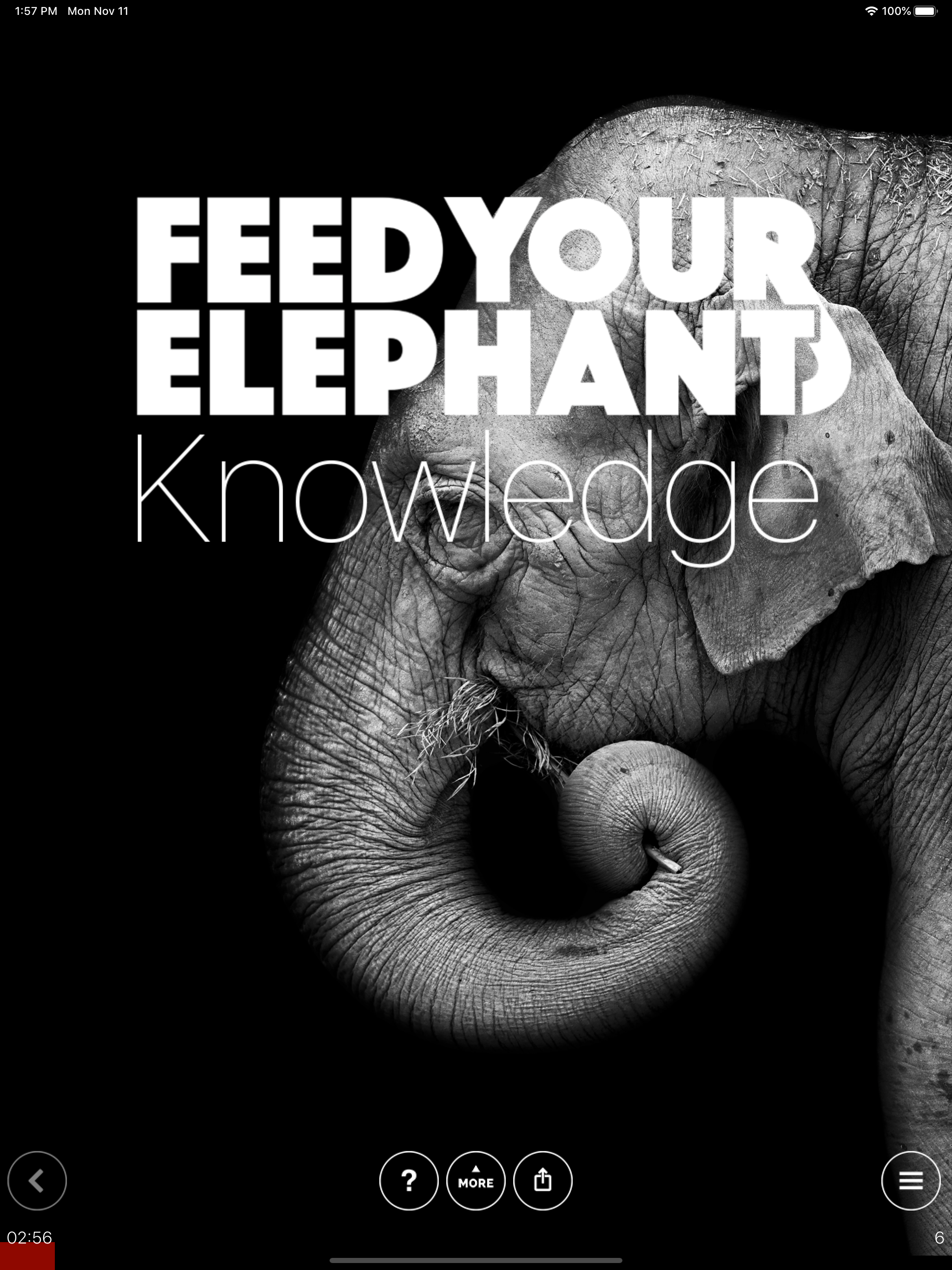 Feed Your Elephant Knowledge