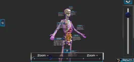 Game screenshot Human anatomy system & parts apk