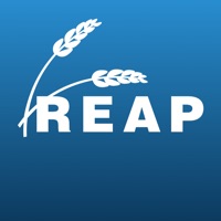 Scale-Tec REAP pour PC