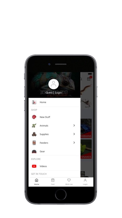 Underground Reptiles