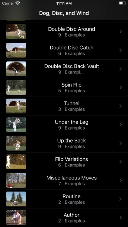 Dog, Disc, and Wind screenshot-8