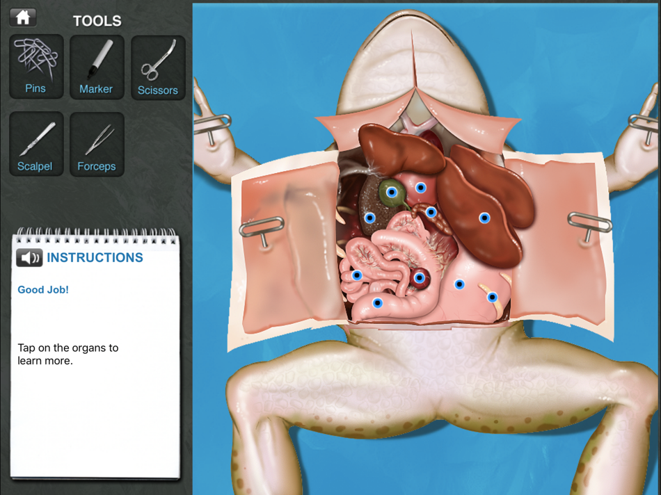 #5. Frog Dissection (iOS) Podle: GP Strategies Corporation