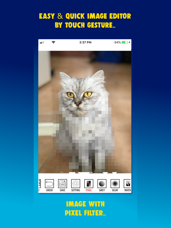 Photo Touch-Up Editor iPad screenshot