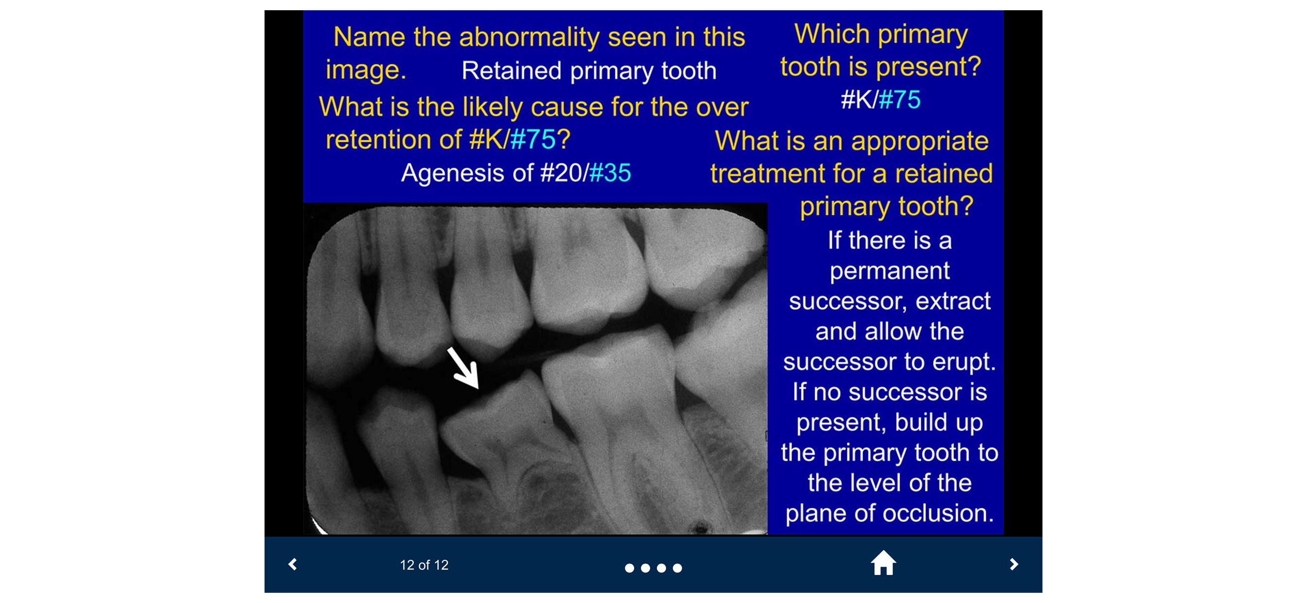 Oral Radiology - SecondLook