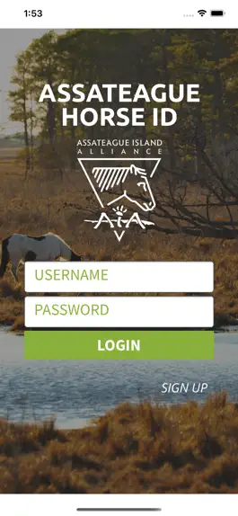 Game screenshot Assateague Horse ID mod apk