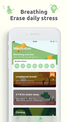 Game screenshot MellowMe:Meditation & Breathe hack