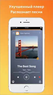 topotune - Радио & Музыка айфон картинки 1