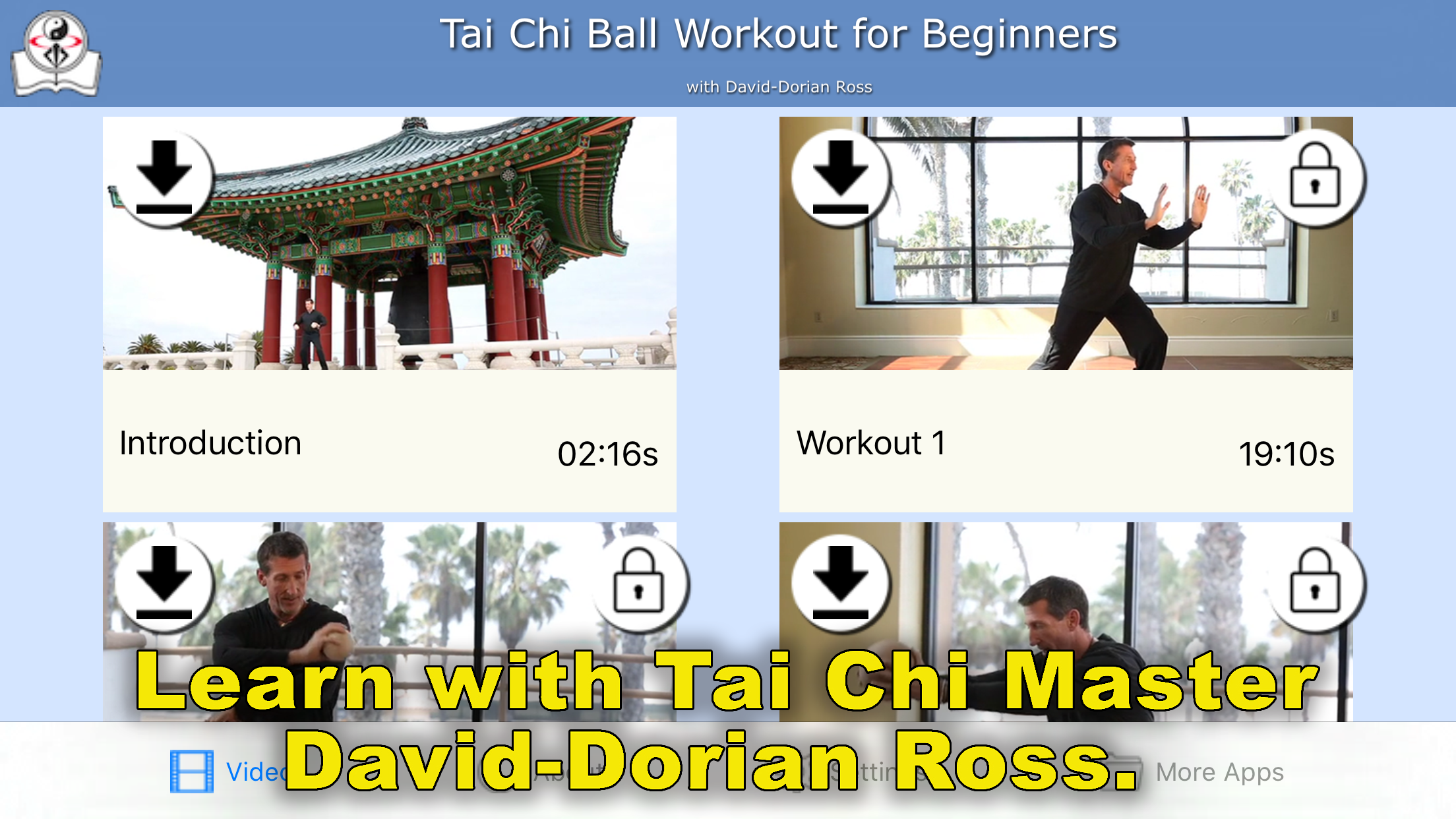 Tai Chi Ball Beginner