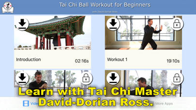 Tai Chi Ball Beginner Screenshot