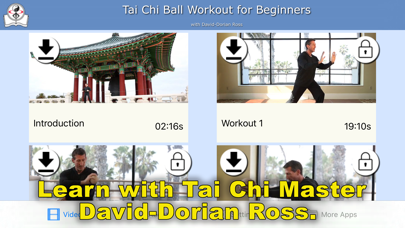 Screenshot #1 pour Tai Chi Ball Beginner