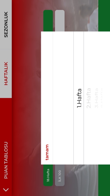 AltınSkor screenshot-5