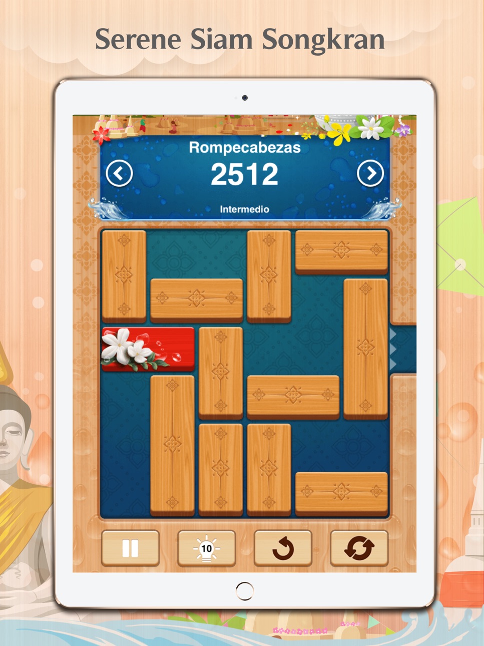 iPad screenshot