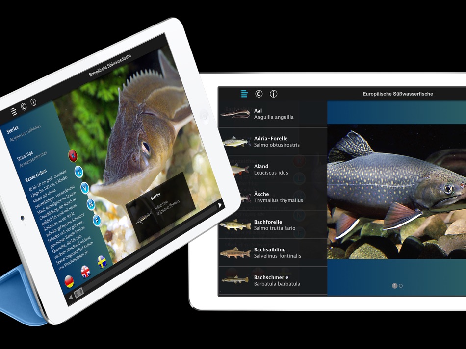 Europäische Süßwasserfische - 1.3 - (iOS)