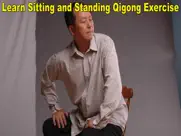 qigong for back pain relief ipad images 2
