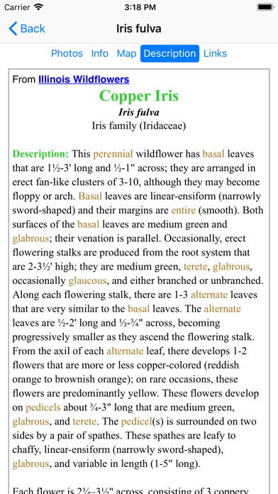 Missouri Wildflowers Screenshot