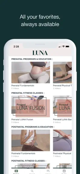 Game screenshot LUNA Mother Co hack