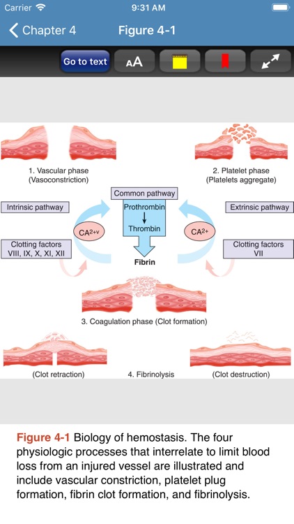 Schwartz’s Surgery 11/E screenshot-5