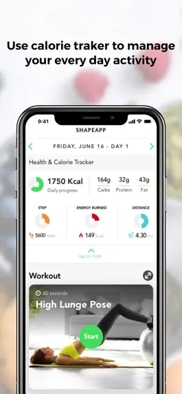 Game screenshot ShapeApp — Lazydiet hack