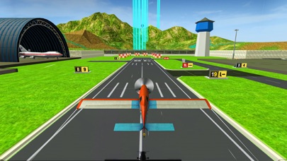 Airplane Pilot Flight: 3D Game screenshot 4