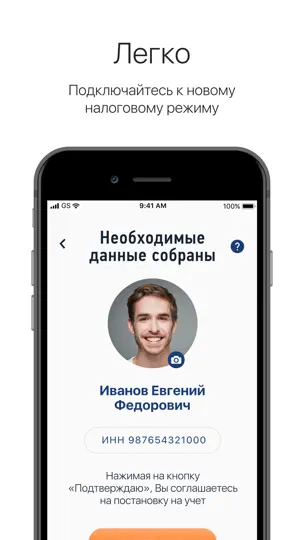 Скриншот Мой налог на iPhone 4