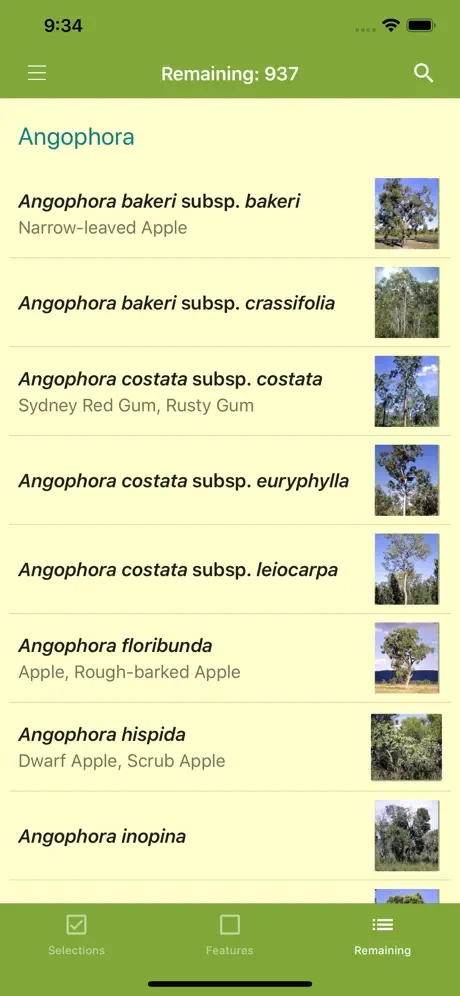 EUCLID Eucalypts of Australia