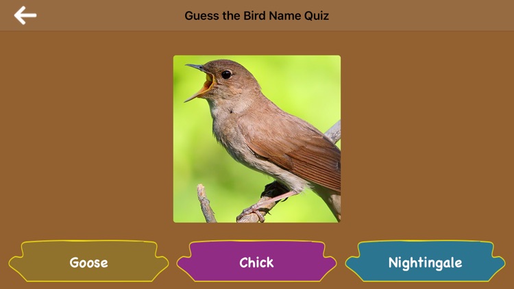 Guess the Bird Name Quiz