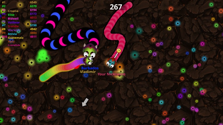 Rampage Worms - Run Masters