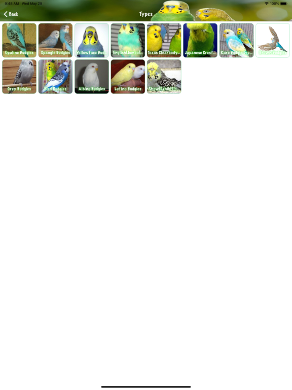 Budgie Book iPad screenshot 6 - Reference app