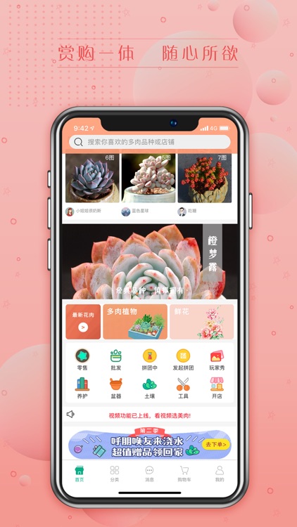 吾花肉-多肉植物及鲜花花卉综合销售商城 screenshot-4