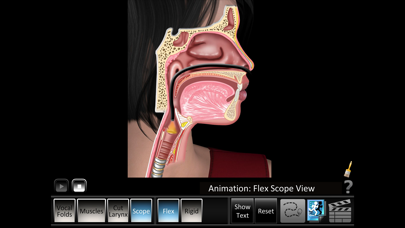 Vocal Folds ID Screenshot