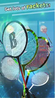 badminton 3Ｄ problems & solutions and troubleshooting guide - 1